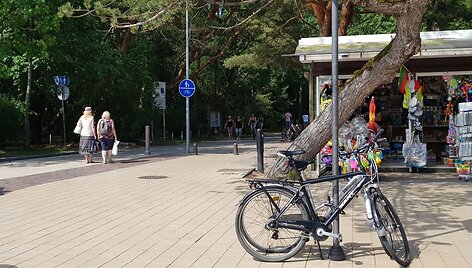 Draudimų važiuoti dviračiu paiso ne visi.