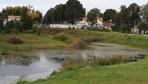 Skaitytojas sunerimo dėl galimai į kanalą patenkančių srutų.