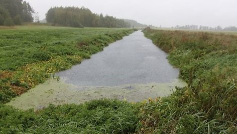  Lankupės upė. Vaizdas nuo pralaidos, atitekantis vanduo nuo UAB „Vilkyškių pieninės“ nuotekų išleistuvo. 