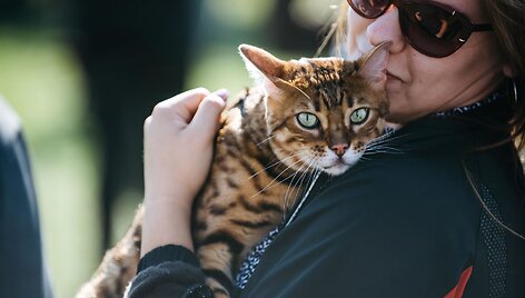 Pasaulinės gyvūnų dienos akimirkos Gargžduose
