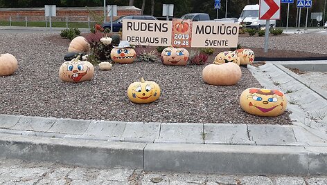 Moliūgų ir derliaus &scaron;ventė Kretingoje