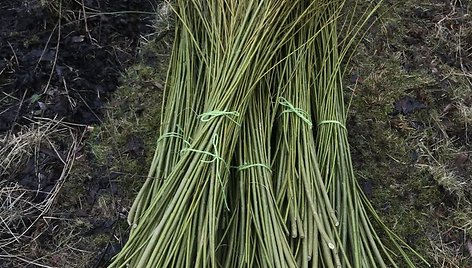 Dovilė Lapinskaitė jau kelerius metus gyvena Škotijoje, moterų bendruomenėje.