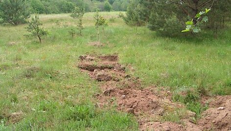 Senovės kur&scaron;ių senkapis.