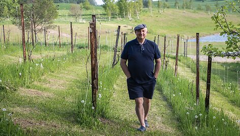 Graikinius rie&scaron;utmedžius, kaip ir būsimą maumedžių giraitę, D. &Scaron;lapelis sodina neatsitiktinai. Verslininkas sako, kad tai &ndash; jo užkoduota žinutė ateities kartoms.