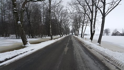 Rusnės alėja liko be medžių