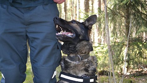 Policijos šuo Hardas