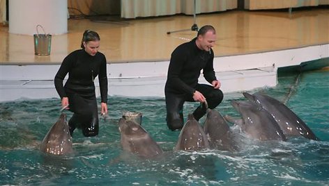 Delfinai gali būti apgyvendinti tik tuose plaukimo baseinuose, kurių gylis siekia bent 2 metrus. Tuo tarpu norint rengti šių gyvūnų pasirodymus, baseinai turi būti bent du kartus gilesni.