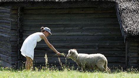 Rum&scaron;i&scaron;kėse