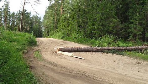 RST imasi papildomų priemonių operatyviai pašalinti elektros tiekimo sutrikimus 