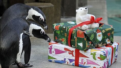 Hanoverio zoologijos sodas