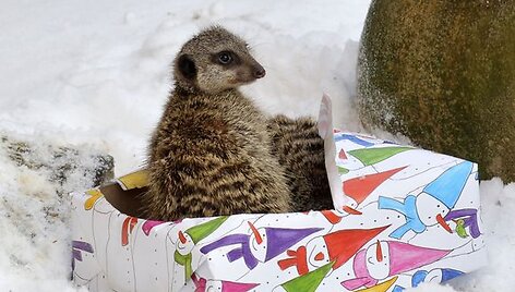 Hanoverio zoologijos sodas