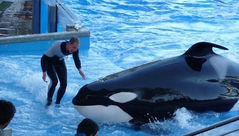 Vandens pramogų parkas „SeaWorld“