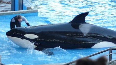 Vandens pramogų parkas „SeaWorld“