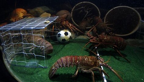 Vėžių futbolas