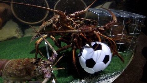 Vėžių futbolas