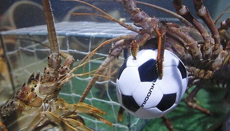Vėžių futbolas