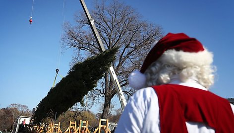 Kalėdinės eglės įkurdinimas ties Vašingtono Kongresų rūmais