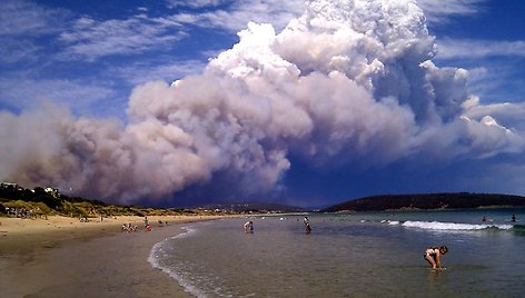 Tasmanijos salą vyraujant didžiulei kaitrai niokoja krūmynų gaisrai