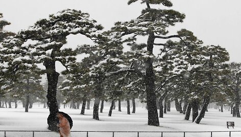 Japonijoje i&scaron;kritęs pirmas gausus sniegas sukėlė nesklandumų.