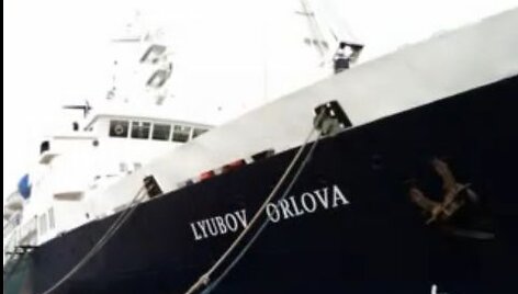 Laivas