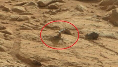 &bdquo;Curiosity&ldquo; Marse nufotografavo koralą primenantį objektą