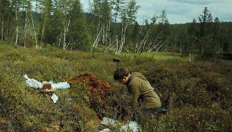 Rusijos tyrėjas Andrejus Zlobinas 1988 metais vykusios ekspedicijos metu Tunguskos incidento apylinkėse surinko per &scaron;imtą akmenų, kurie atrodė kaip meteoritai.
