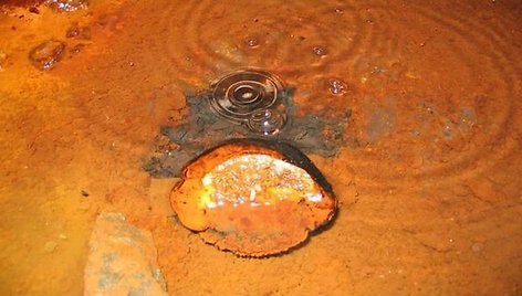 Gilioje šachtoje iš žemės besiveržiančios dujos galėtų būti tinkama maisto medžiaga požeminiuose vandens telkiniuose gyvenantiems mikroorganizmams