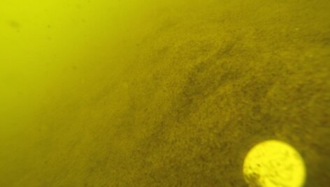 Projektas &bdquo;AQUA langas&ldquo; jūroje po Palangos tiltu 
