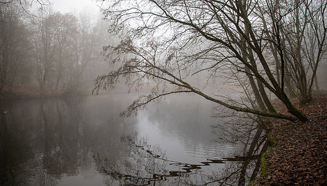 Ankstyvas rytas Markučių parke