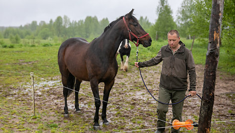 Ramunės ir Šarūno Radavičių „Žirgų oazė“