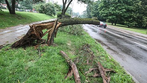 Per audrą išvartyti medžiai tebetvarkomi