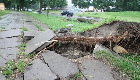 Per audrą i&scaron;vartyti medžiai tebetvarkomi