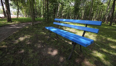 Burbi&scaron;kių gatvėje tveriamas mi&scaron;kas