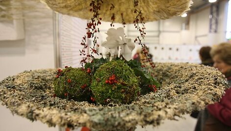 Lietuvos floristų asociacija ir parodų centras &bdquo;Litexpo&ldquo; vilniečius bei miesto svečius savaitgalį pakvietė į tradicinę &bdquo;Žiemos puok&scaron;tę 2009&ldquo;. Lankytojai grožėjosi įspūdingo dydžio gėlių kompozicijomis ir neįtikėtinu darbų kruop&scaron;tumu, o &scaron;ventinę nuotaiką kūrė puo&scaron;tos eglutės.
