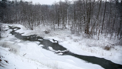 Žiema Verkių regioniniame parke