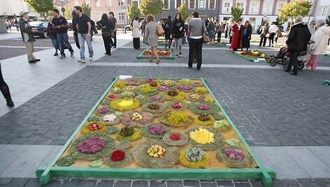 Parodos akimirka