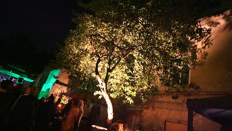 &bdquo;Green Night&ldquo; akimirka