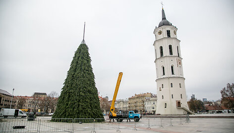 Vilniuje jau pradėta puo&scaron;ti Kalėdų eglė