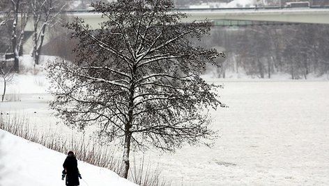 Vilniuje patvinusi Neris