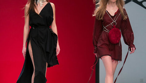 Živilės Aleknavičiūtės kolekcijos modelis