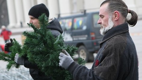 Katedros aikštėje stovės dirbtinė eglė