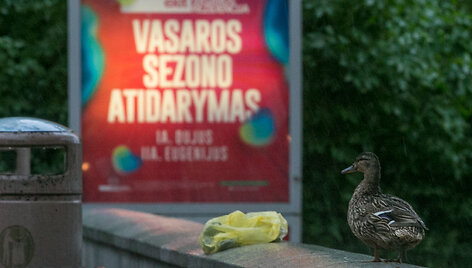 Lietus Palangoje