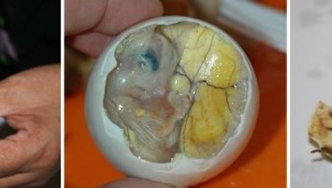 Balut kiaušinis