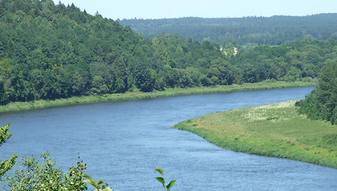  Nemunas ir jo baseinas, specialistų teigimu, įeina į rizikos zoną, kurioje pasitaiko pasitaiko parazitais užkrėstų žuvų