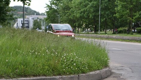 Kai kuriose Vilniaus vietose auk&scaron;ta žolė trukdo eismui &ndash; i&scaron;važiuojant i&scaron; kiemų į pagrindines gatves  sunku pastebėti atvažiuojančius automobilius.