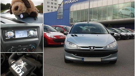 Garažas: Gedimino „Peugeot 206“