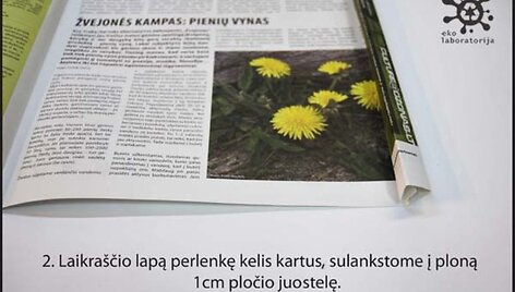 2 žingsnis