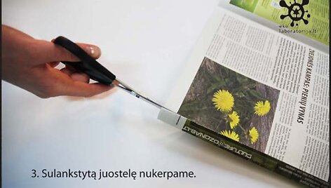 3 žingsnis