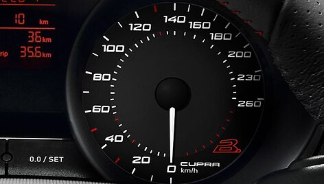 &bdquo;Seat Ibiza Bocanegra&ldquo; - agresyviausias ispanų mažylis