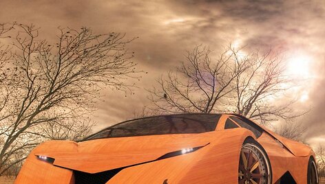 Ruo&scaron;iamas medinis superautomobilis &bdquo;Splinter&ldquo;